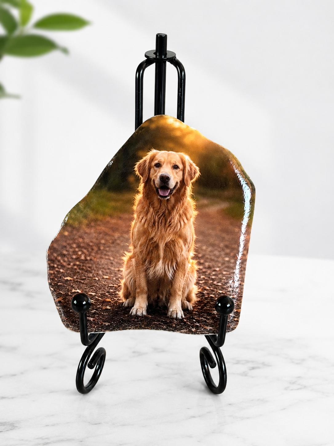 Herinneringssteen met foto van een hond